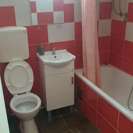 Borko 1-1 Apartment Loznica