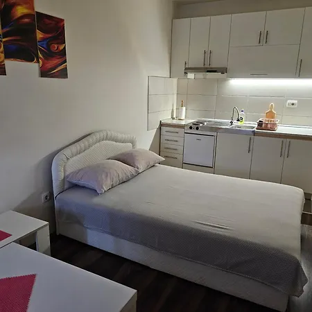 Borko 1-1 Apartman Loznica