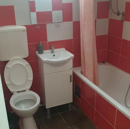 Borko 1-1 Apartment Loznica