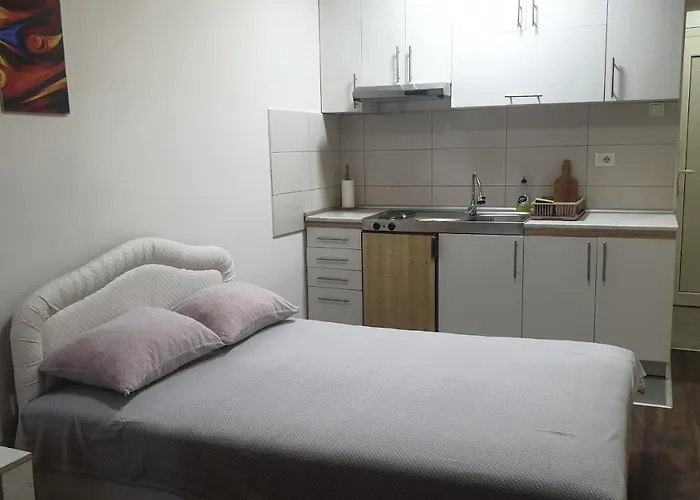 Apartment Borko 1-1 Loznica