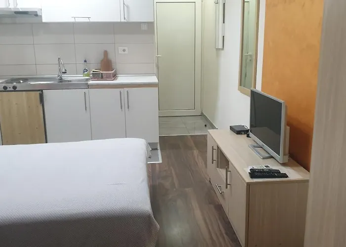 Apartment Borko 1-1 *