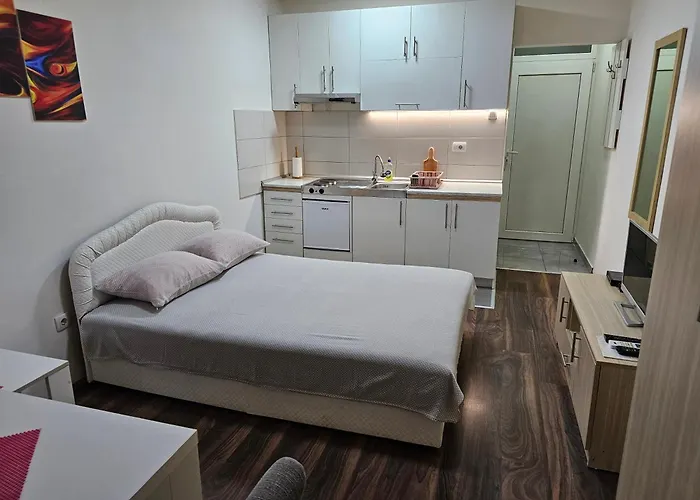 Apartment Borko 1-1 Loznica